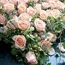 Hochzeit04
