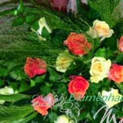 straeusse07